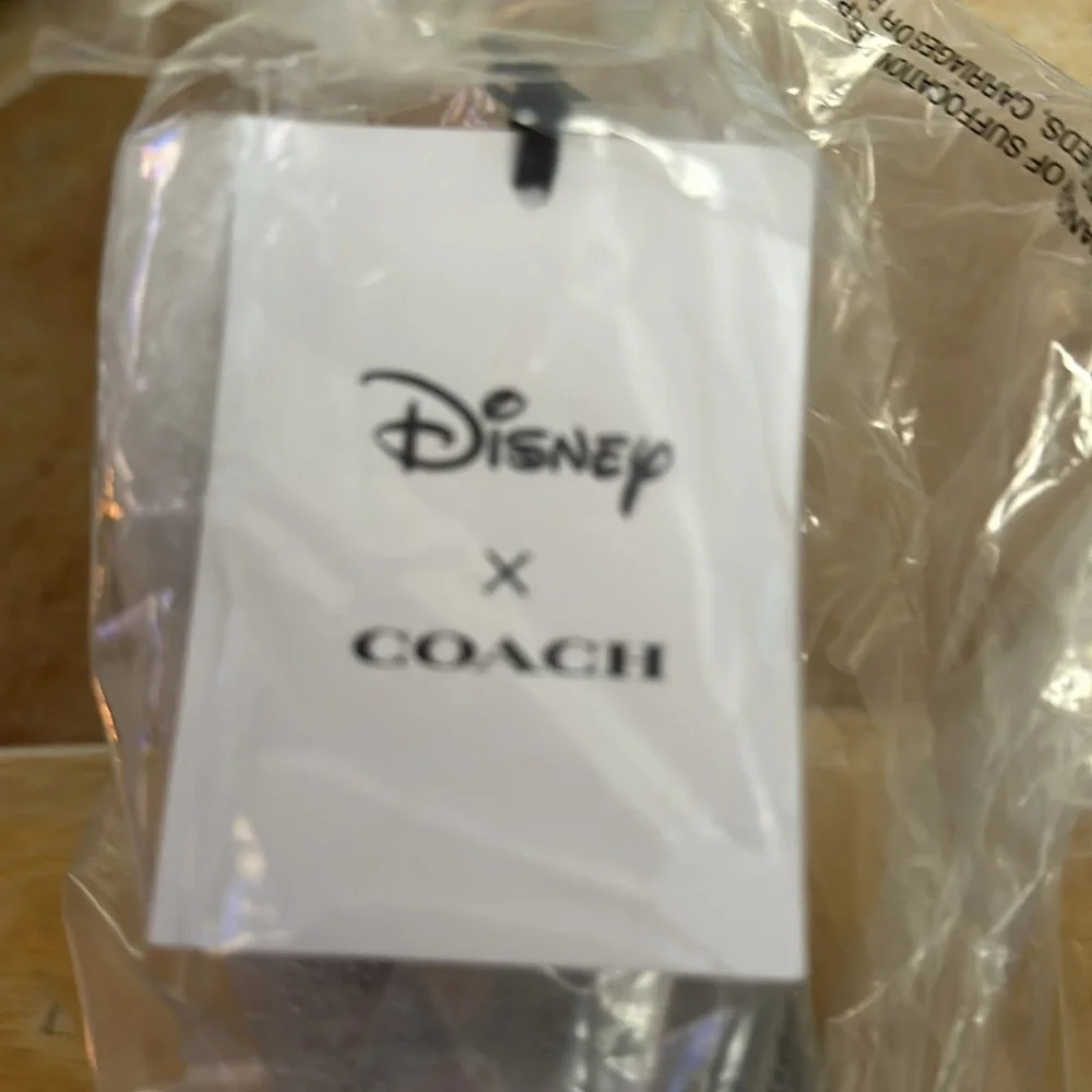 Disney X Coach Limited Edition Graphic Pencil Case With Holiday Print.